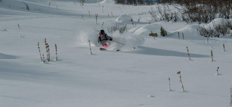 11027439_1426178001008898_1138404796384729108_o