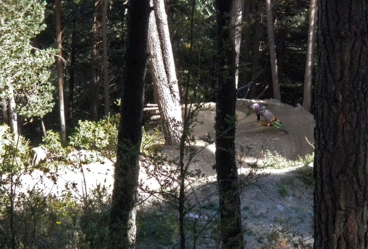 Andorre - vallnord- Commencal