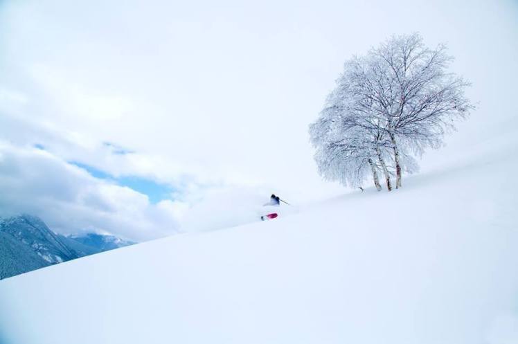 12348102_10207834013025625_4030218229456755229_n