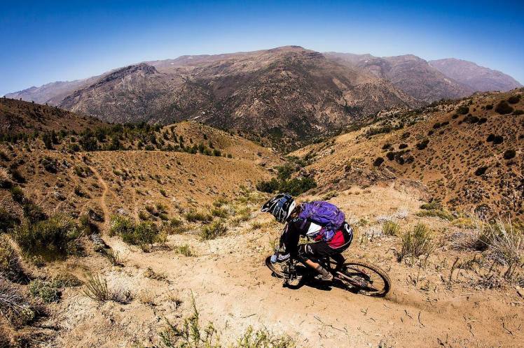 12783536_762729017161676_4573299585459964658_o