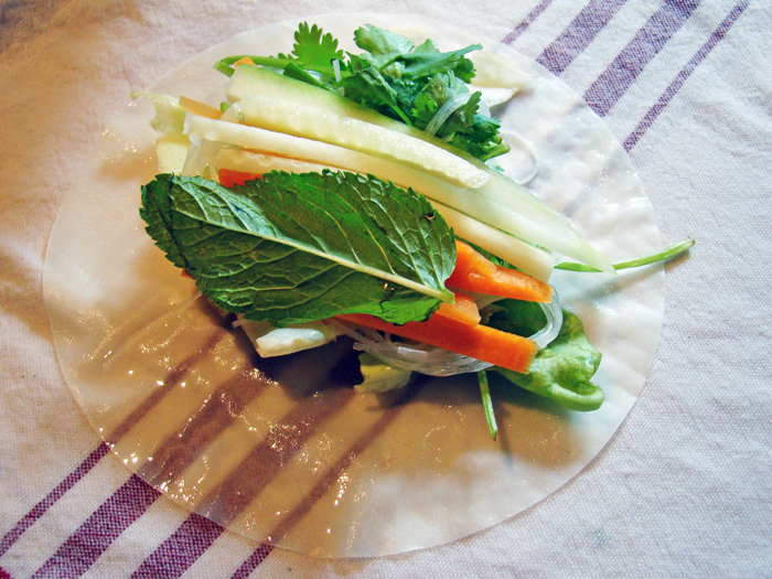 ROULEAUX DE PRINTEMPS