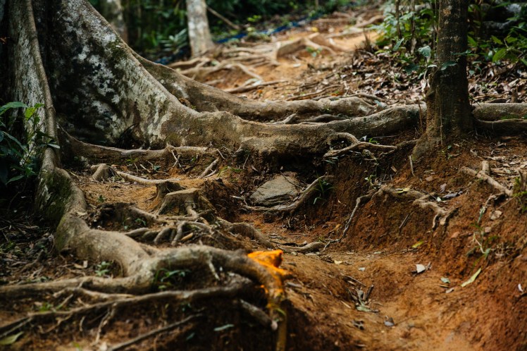 atteindre ses objectifs se challenger sport.jpg