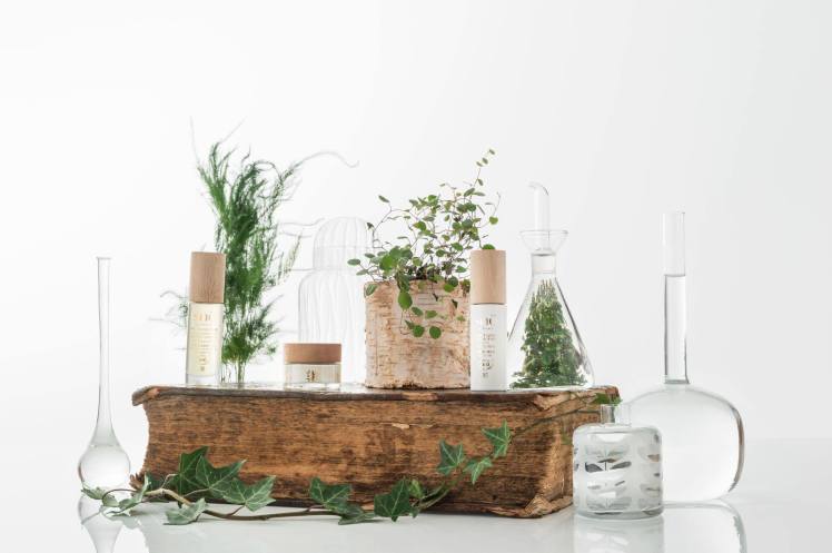 sno-eternelle-beaute-montagne