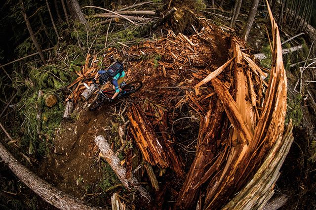 17266042_1670075439960156_4365833509059690496_n