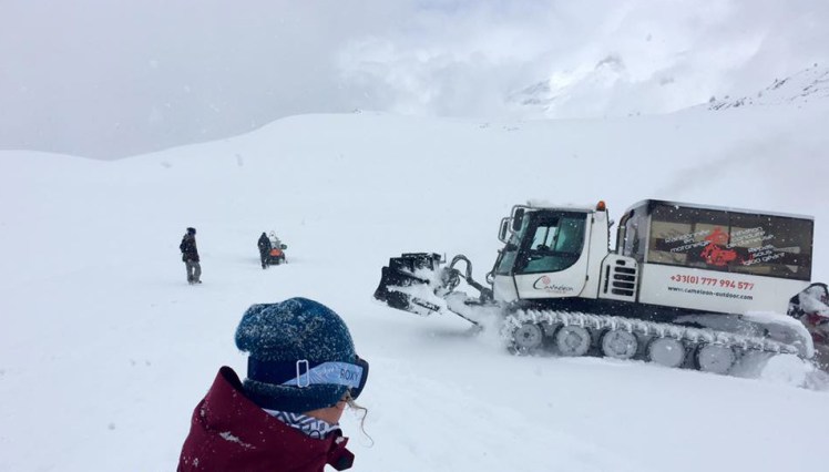 dameuse outdoor cameleon