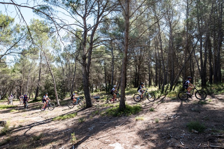 Liv vtt féminin camp2