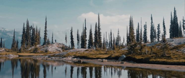 Capture d’écran 2017-10-16 à 14.33.24.png