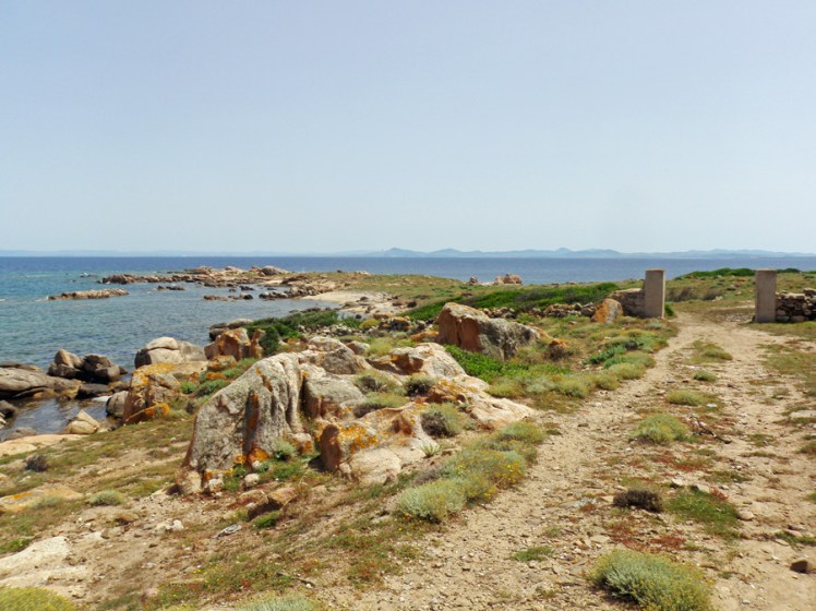 ASINARA-ile-sardaigne