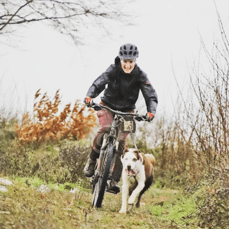 Capture d’écran 2018-11-16 à 15.41.50.png